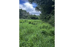 687 H M Garrison Rd, Manchester, KY 40962