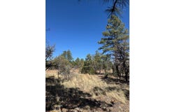 Tbd Doe Run, Los Ojos, NM 87520
