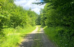 Yorkland Rd lot: 8, Annsville, NY 13471