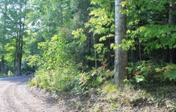 Lot 16 ALPINE DR, Hurley, WI 54565