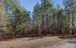 Lot 30 Benjamin Brown, Elberton, GA 30635