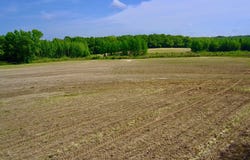 0 County Road 49, Slocomb, AL 36375