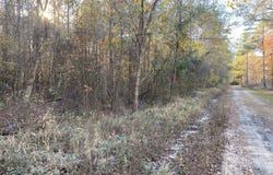R47120 Cottonwood, Huntington, TX 75949