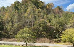 645 Light Hollow Road, Rogersville, TN 37857