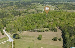 895 POPLAR SPRINGS TRAIL, ASHVILLE, AL 35953