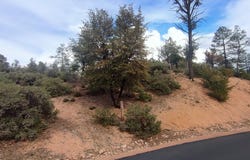 903 S Monument Valley Drive, Payson, AZ 85541