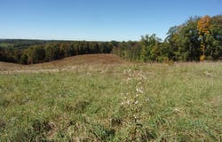 Everson Road, Buckhannon, WV 26201