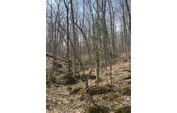 192 Wiley Road, North Bangor, NY 12966