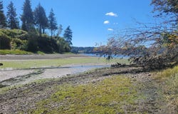 900 East Wilson Way, Grapeview, WA 98546