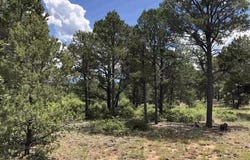 58 Silver Feather Trail, Pecos, NM 87552
