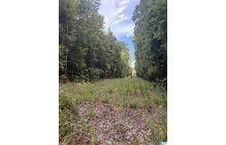 0 COUNTY ROAD 228, MAPLESVILLE, AL 36750