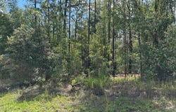 7861 N Valhalla Drive, Citrus Springs, FL 34434