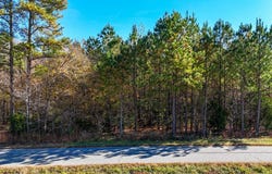 5667 Longview Drive, Kenbridge, VA 23944