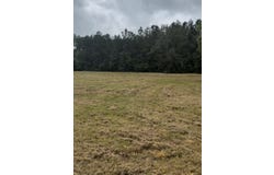 Ceaser, Picayune, MS 39466