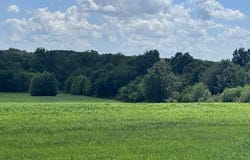 000 175th Street, Altamont, MO 64620
