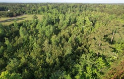 5 Acres Lot 2 Old Pee Dee Rd., Hemingway, SC 29554