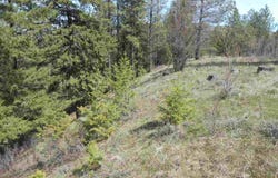 93 Murphy Rd, Kettle Falls, WA 99141