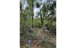4117 SILVER LAKE DRIVE, PALATKA, FL 32177