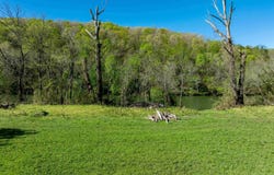 Highway 63, Hardy, AR 72542
