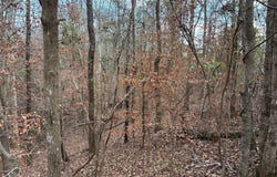 3942 Ridge Road, Greenville, AL 36037