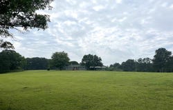 893 County Road 856, Cedar Bluff, AL 35959