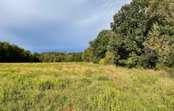140th Avenue, Foreston, MN 56330