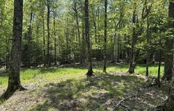 Lighthouse Road, Big Bay, MI 49808