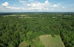 Lawrence 1250, Billings, MO 65610