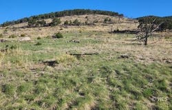 TBD 24th Trail, Cotopaxi, CO 81223