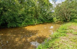 95 ROGERS, Savannah, TN 38372