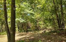 455 Leaser Rd, Fifty-Six, AR 72553