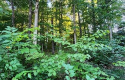 Lot 15  N Heanor  LN, Bella Vista, AR 72714