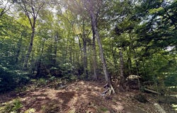 2018 Hillside Road, Carrabassett Valley, ME 04947