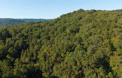 32.38 AC Panther Creek Road, Sneedville, TN 37869