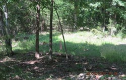 170  S Highway 170  HWY, West Fork, AR 72774