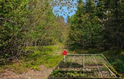Lot 1 W Pendills Lake Road, Brimley, MI 49715