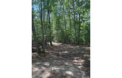 Cheatham Road, Monroe, VA 24574