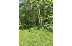 222 W HOLTZ Street, Hastings, FL 32145