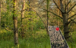 Lot 5 E Arthur Road, Rothbury, MI 49452