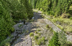 NKA Cedar Creek, Kendrick, ID 83537