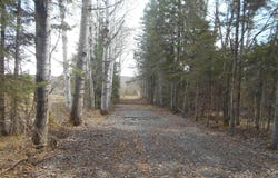Lower Worham Roads, Chassell, MI 49916