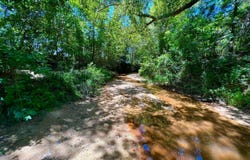 707 County Road 223, New Brockton, AL 36351