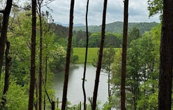 46 DJ Drive, Ellijay, GA 30540