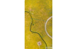 2988 Edgewater Lane, St Anthony, ID 83445