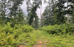 000 Dunn Bridge Rd, Heltonville, IN 47436