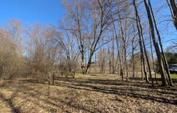 6465 Fox Den, Custer, MI 49405