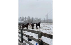 149 BRINDLETOWN ROAD, NEW EGYPT, NJ 08533