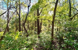 Rouse Rd, Clarington, OH 43915