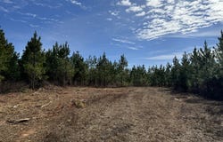 018 Dozier, Ellaville, GA 31806
