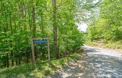 301 Jackpine Road, Beech Mountain, NC 28604